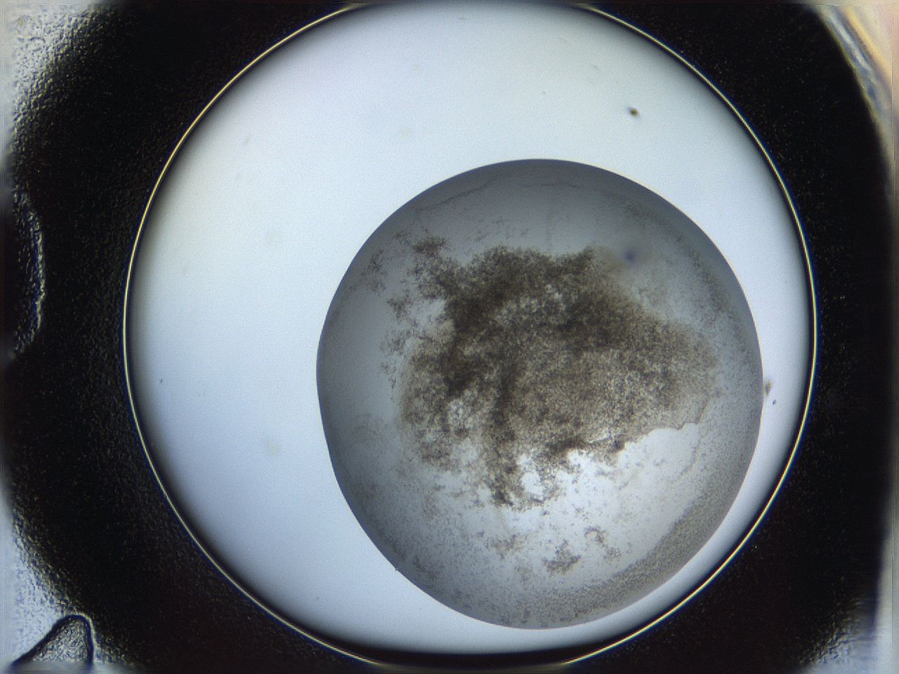 06i1_D11_ImagerDefaults_3.jpg