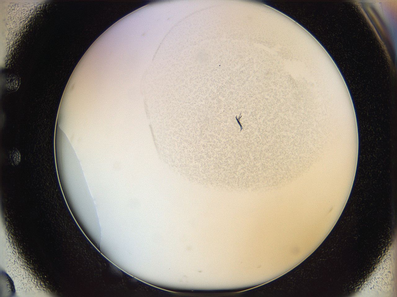 06i1_E3_ImagerDefaults_2.jpg