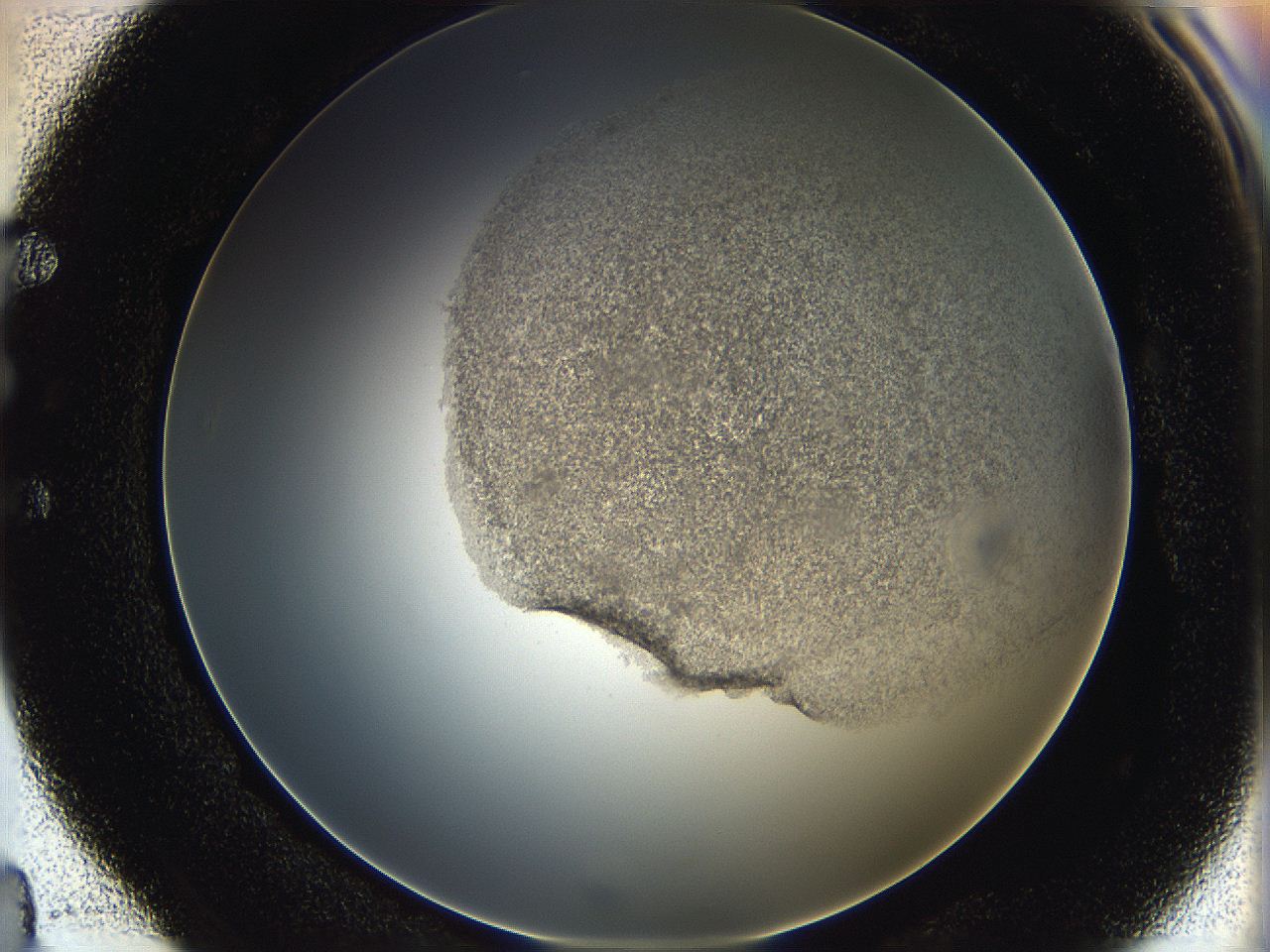 06i1_E4_ImagerDefaults_3.jpg