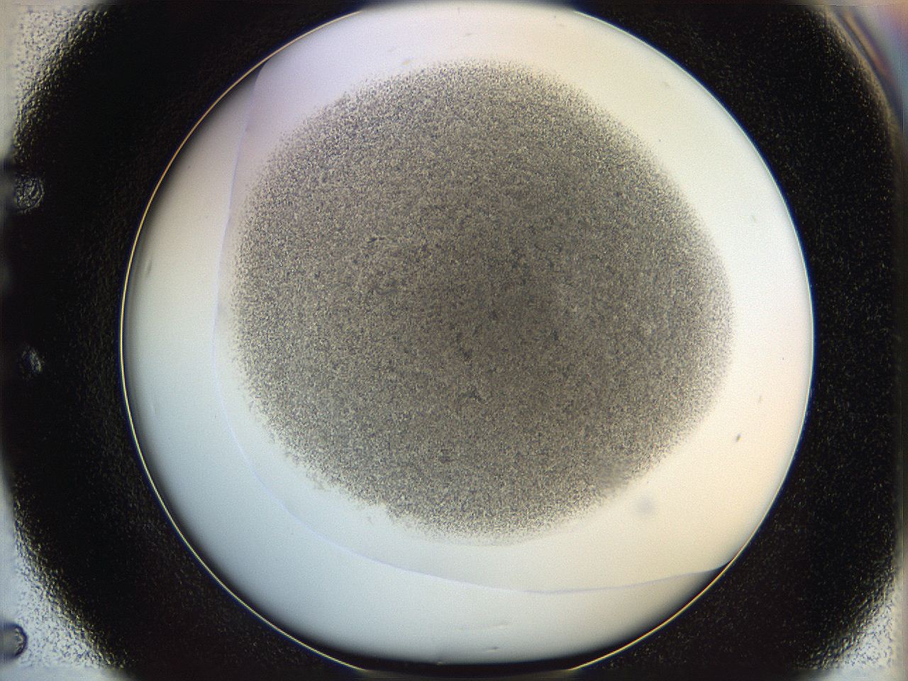06i1_E5_ImagerDefaults_3.jpg