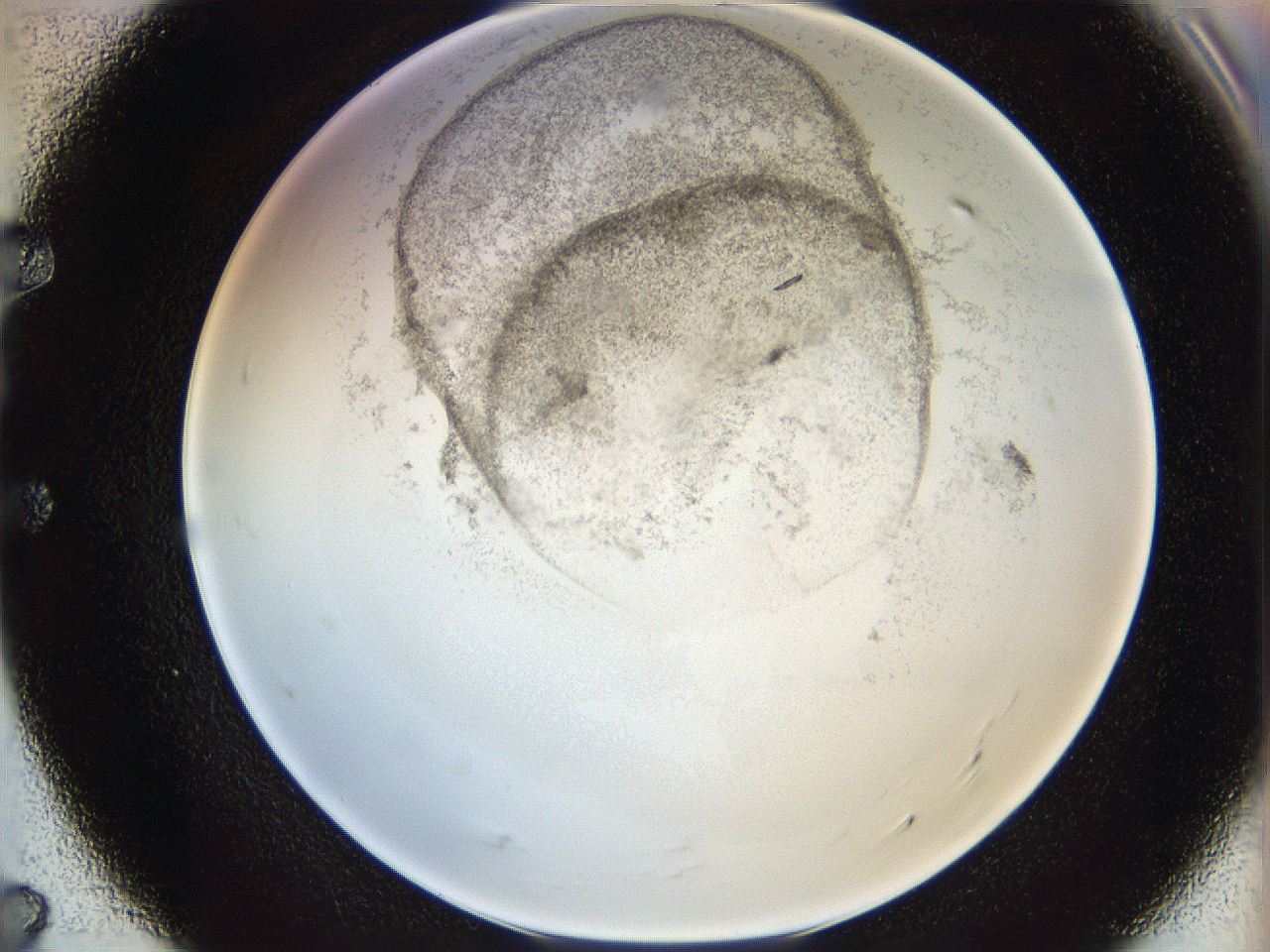 06i1_E7_ImagerDefaults_3.jpg