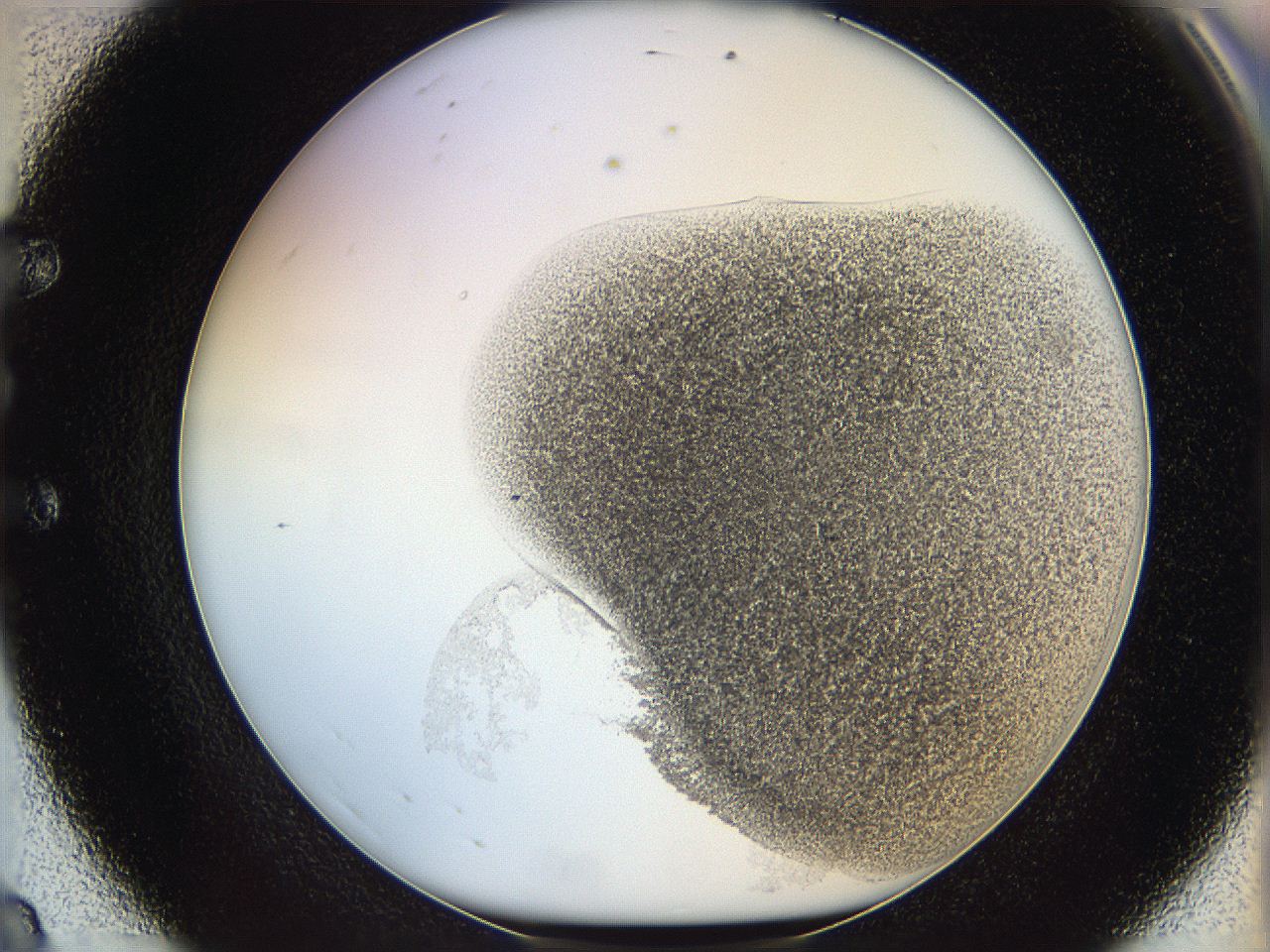 06i1_E8_ImagerDefaults_3.jpg