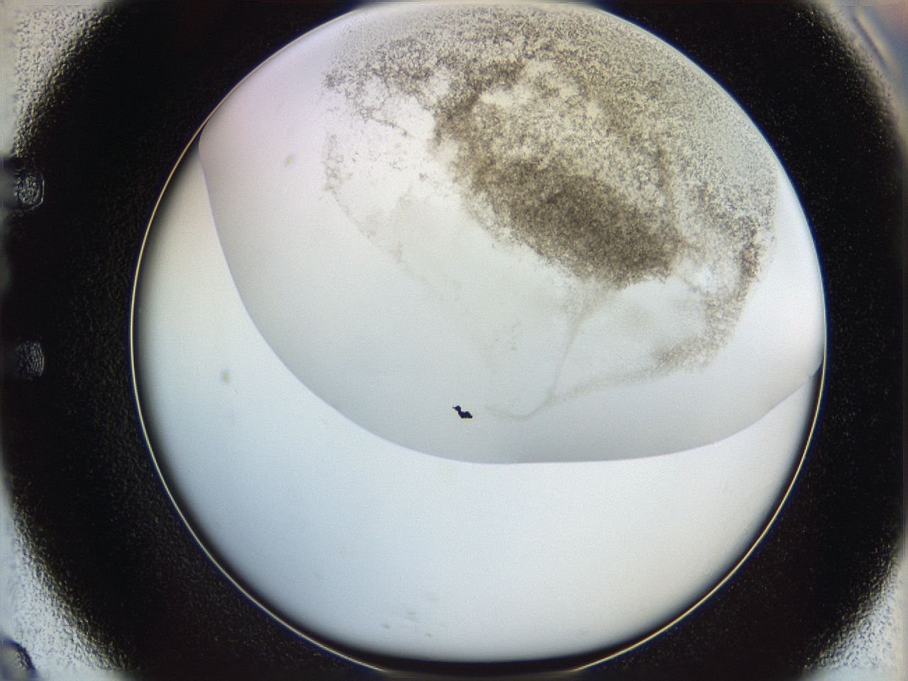 06i1_E9_ImagerDefaults_3.jpg