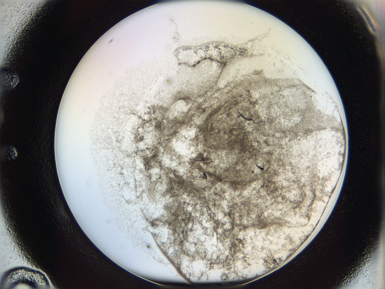 06i1_E10_ImagerDefaults_3.jpg
