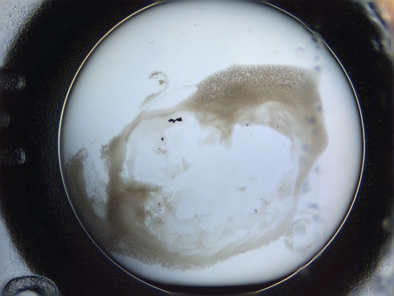 06i1_E12_ImagerDefaults_3.jpg
