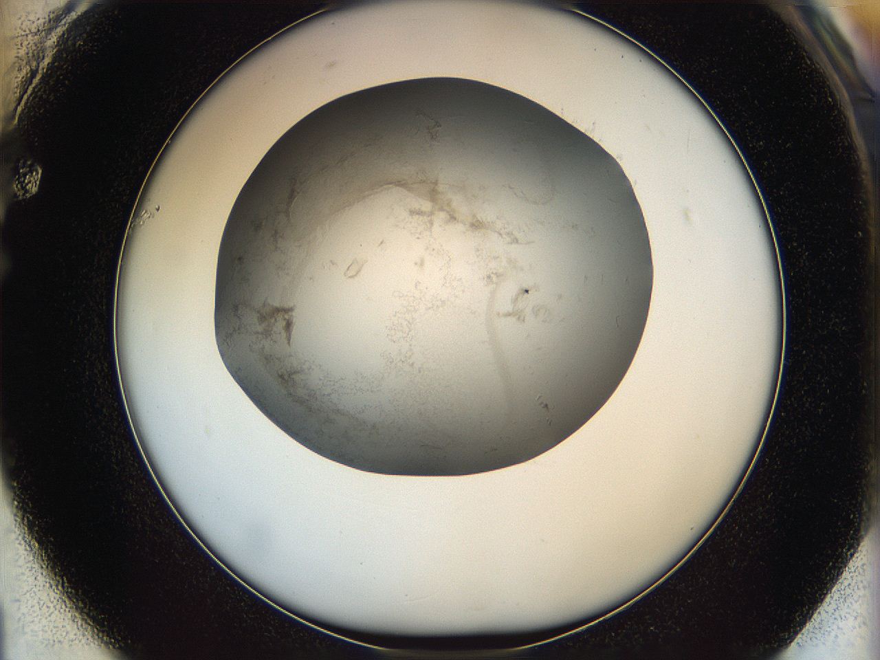 06i1_F1_ImagerDefaults_3.jpg