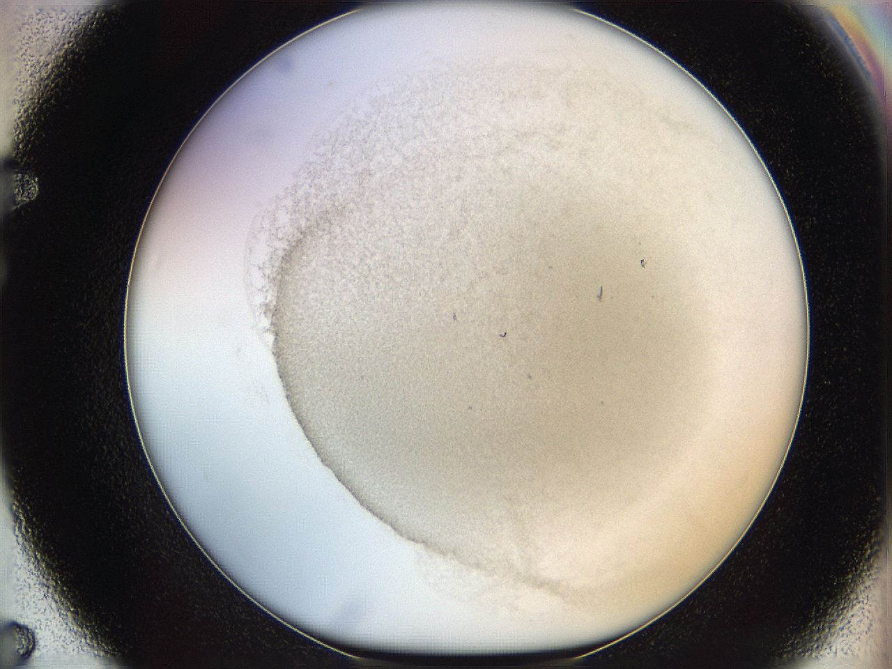 06i1_F7_ImagerDefaults_3.jpg