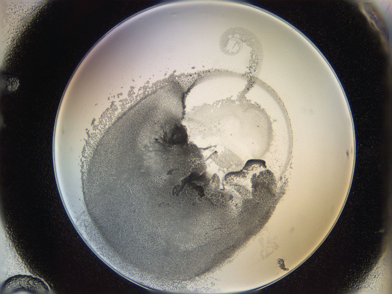 06i1_F10_ImagerDefaults_3.jpg