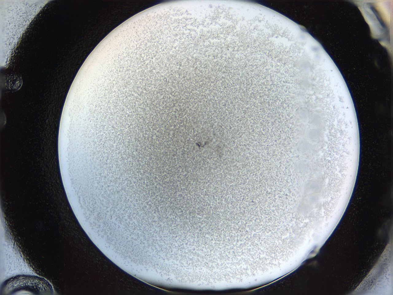 06i1_F12_ImagerDefaults_3.jpg