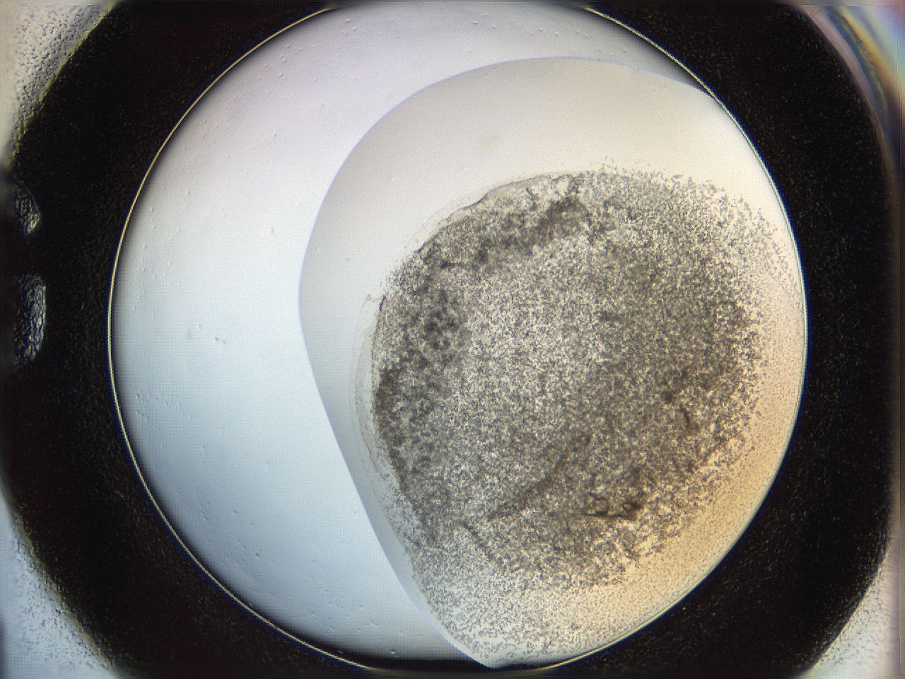 06i1_G1_ImagerDefaults_3.jpg