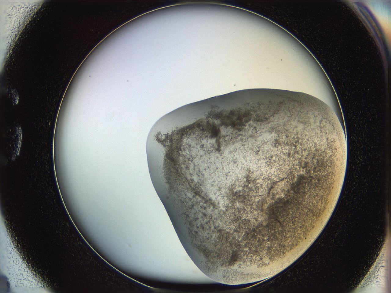 06i1_G4_ImagerDefaults_3.jpg