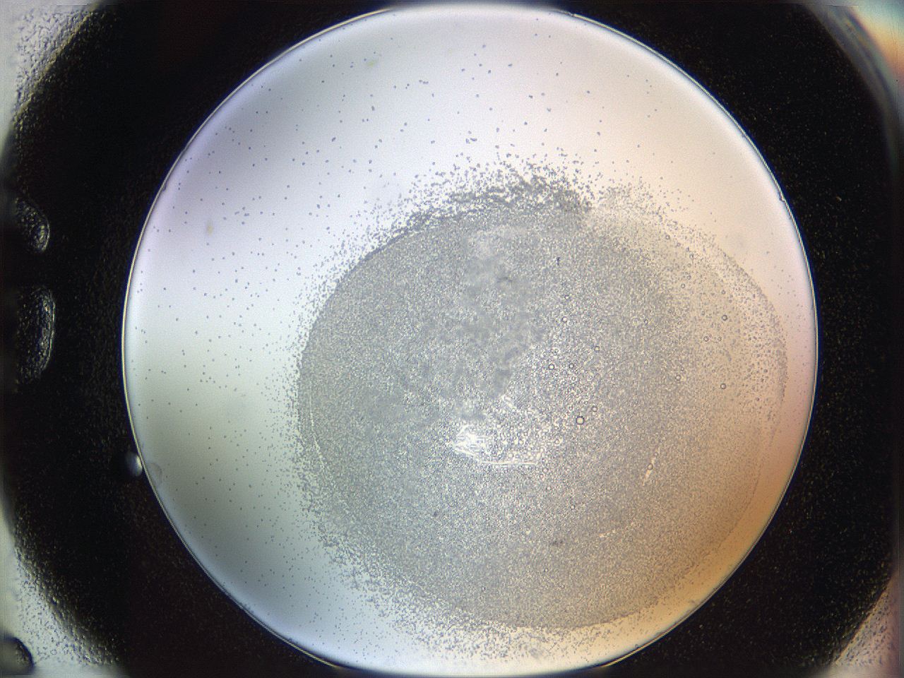 06i1_G6_ImagerDefaults_5.jpg