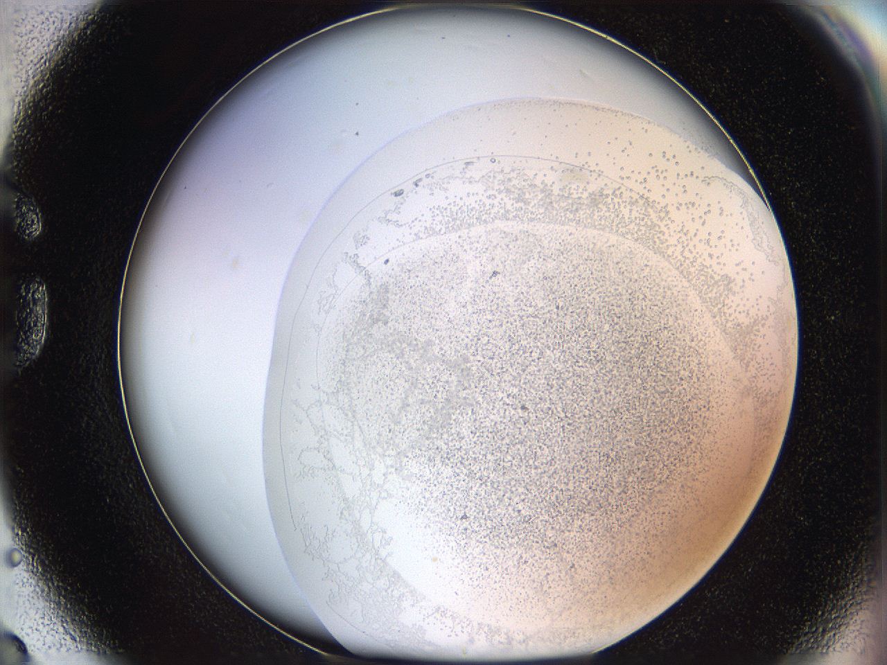 06i1_G8_ImagerDefaults_3.jpg