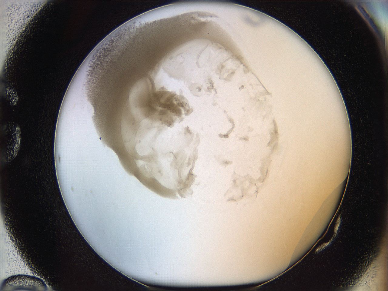 06i1_G10_ImagerDefaults_3.jpg