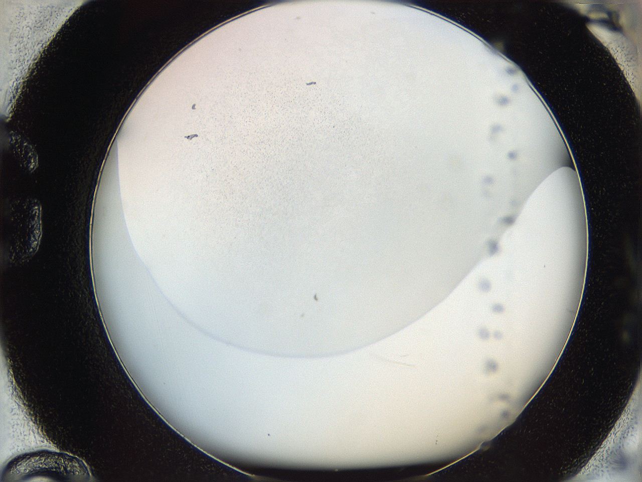 06i1_G12_ImagerDefaults_0.jpg