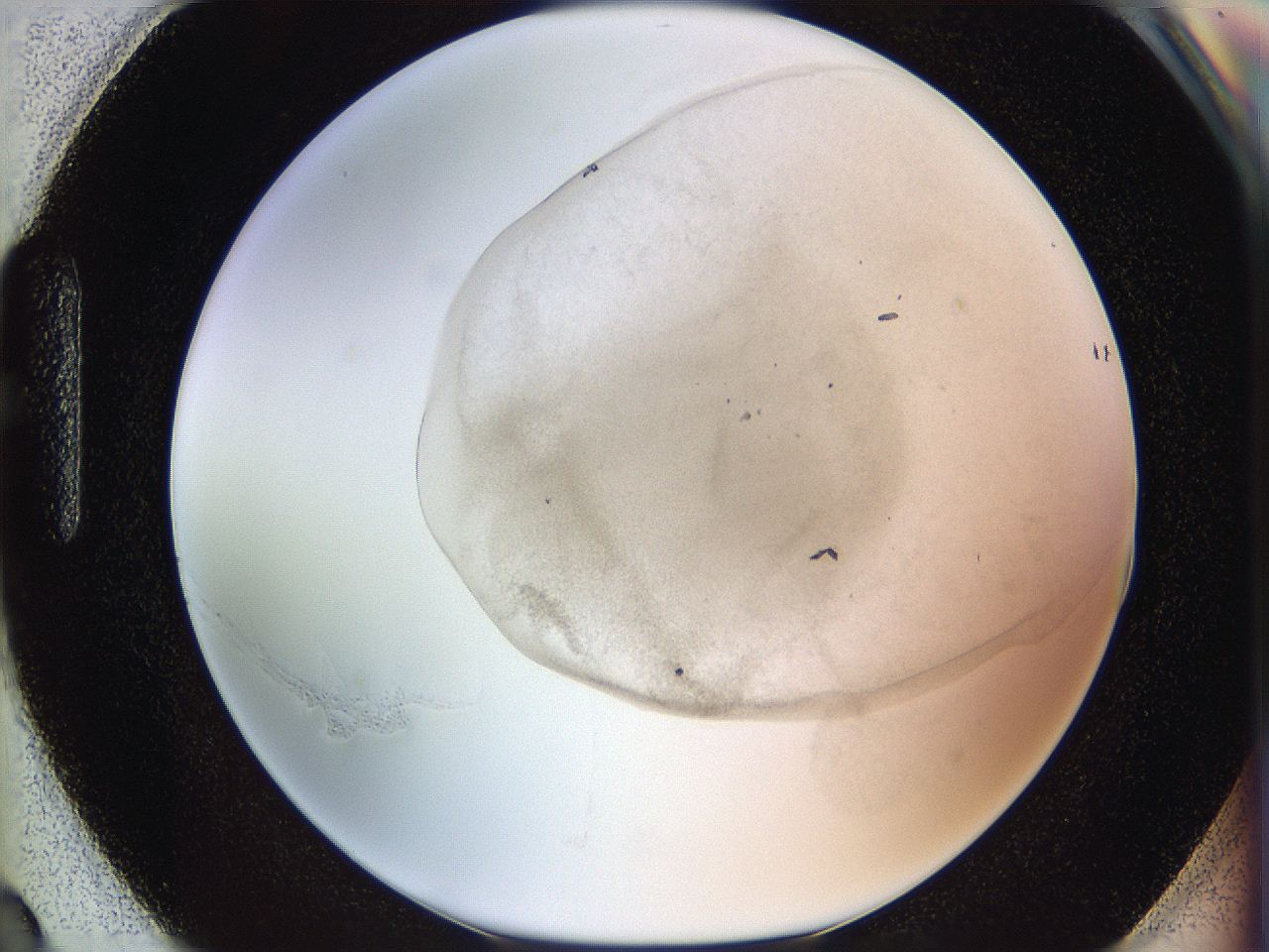 06i1_H3_ImagerDefaults_3.jpg