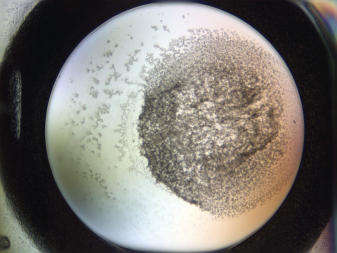 06i1_H5_ImagerDefaults_3.jpg