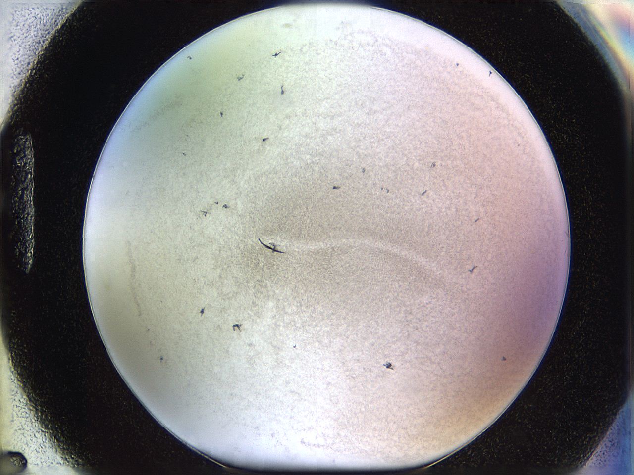 06i1_H7_ImagerDefaults_3.jpg