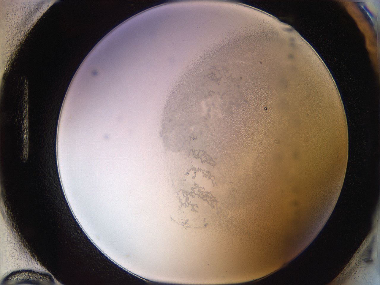 06i1_H12_ImagerDefaults_3.jpg