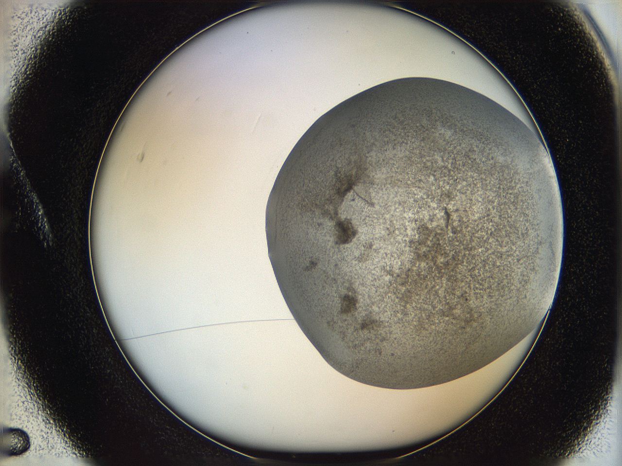 06i2_A5_ImagerDefaults_3.jpg