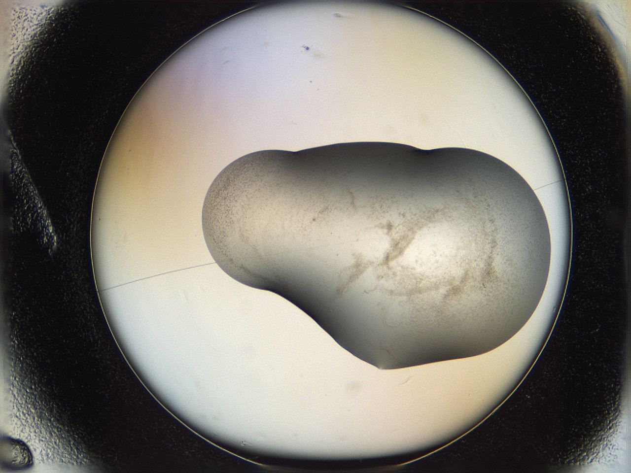 06i2_A6_ImagerDefaults_2.jpg