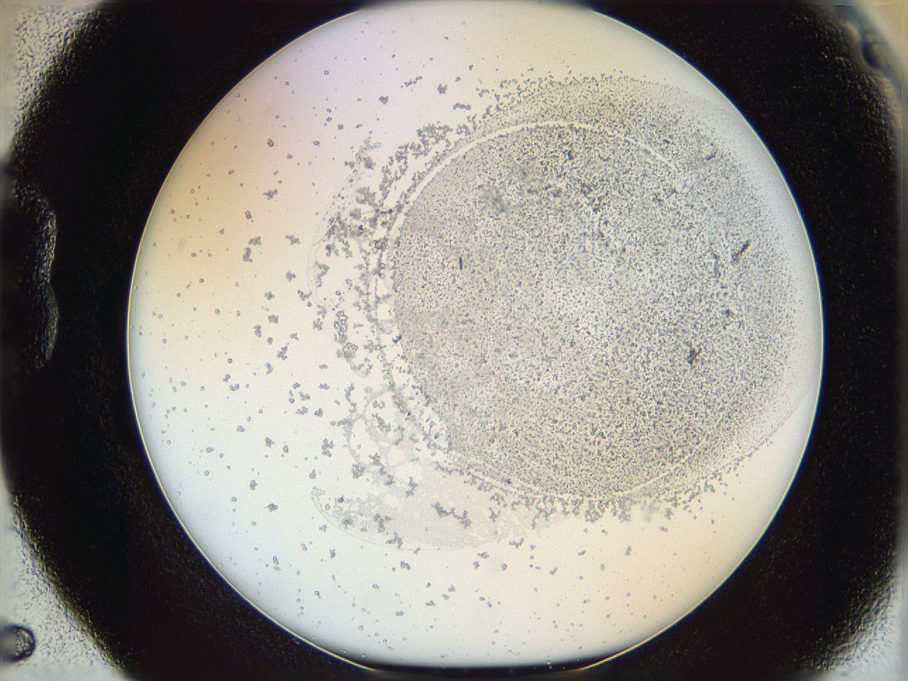 06i2_B5_ImagerDefaults_5.jpg