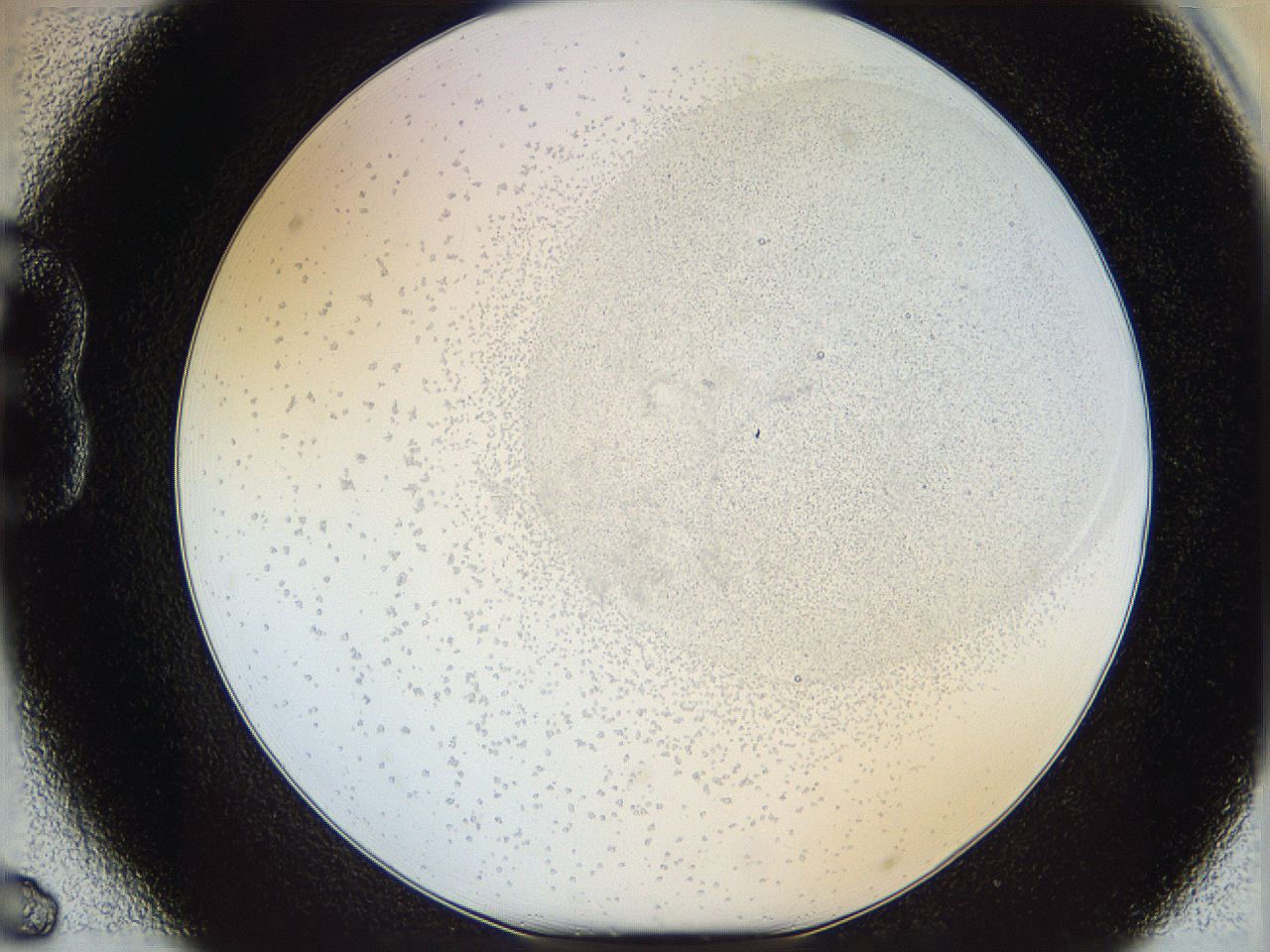 06i2_B6_ImagerDefaults_5.jpg