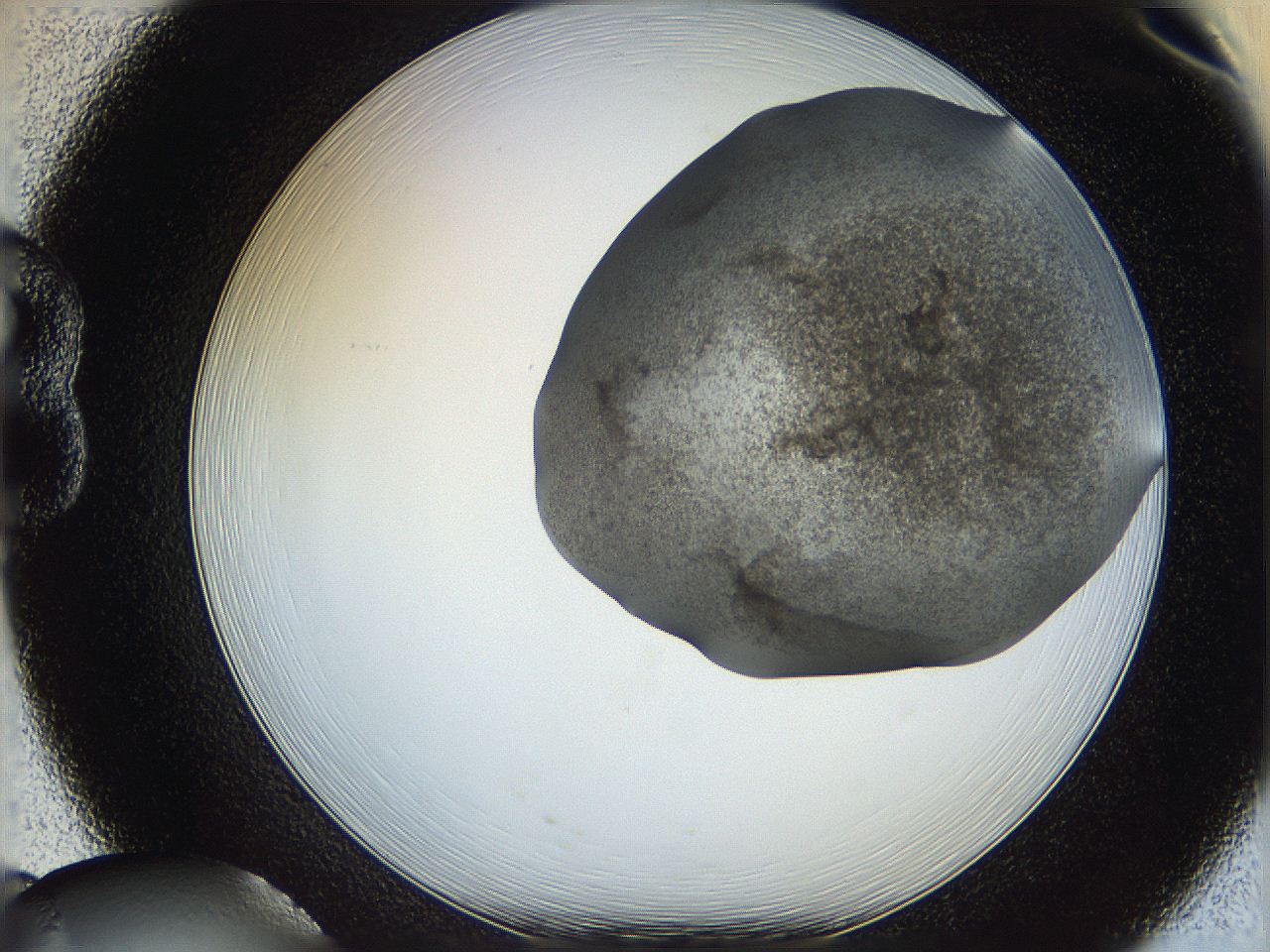 06i2_B8_ImagerDefaults_3.jpg