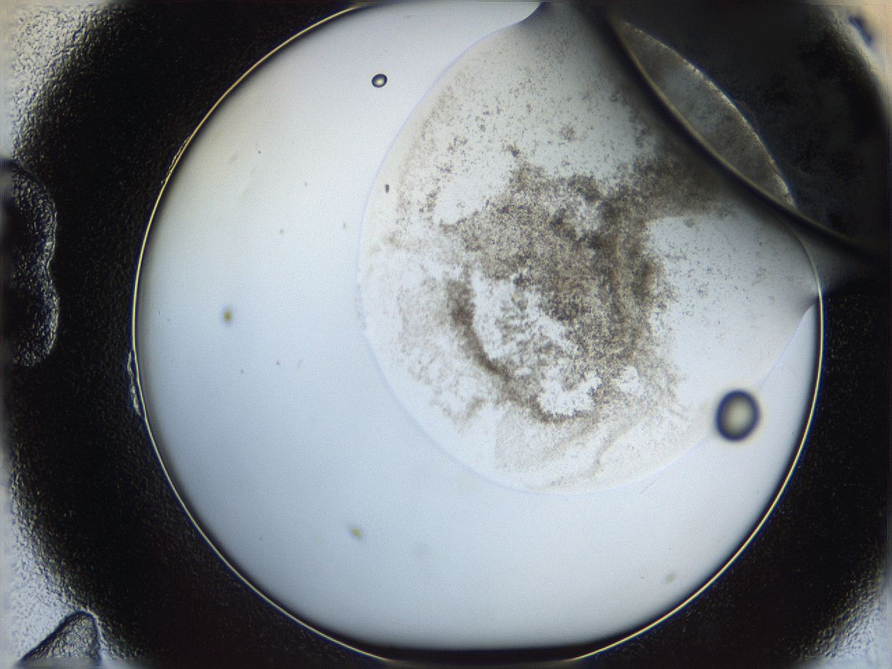 06i2_B11_ImagerDefaults_3.jpg