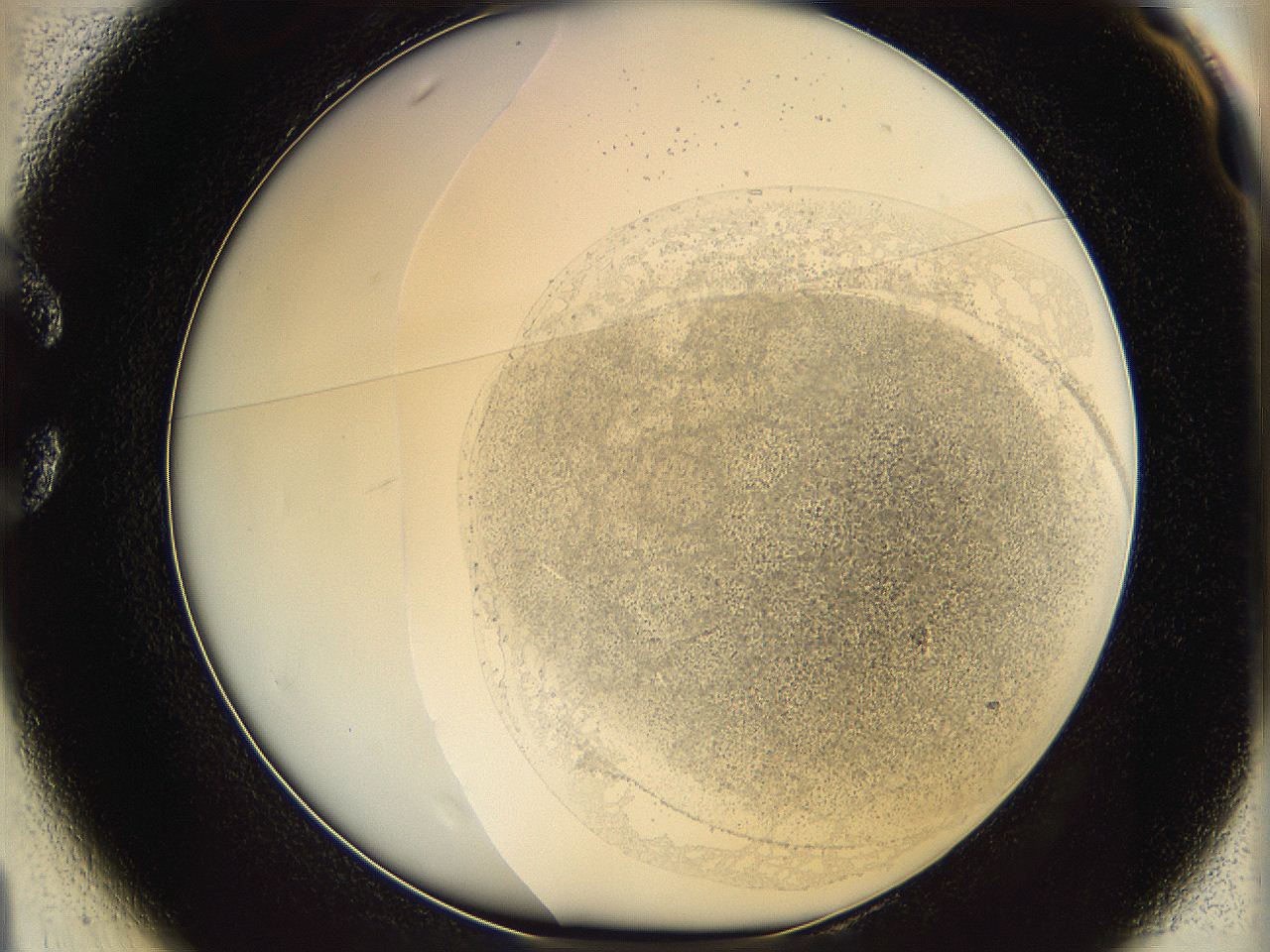 06i2_C1_ImagerDefaults_3.jpg