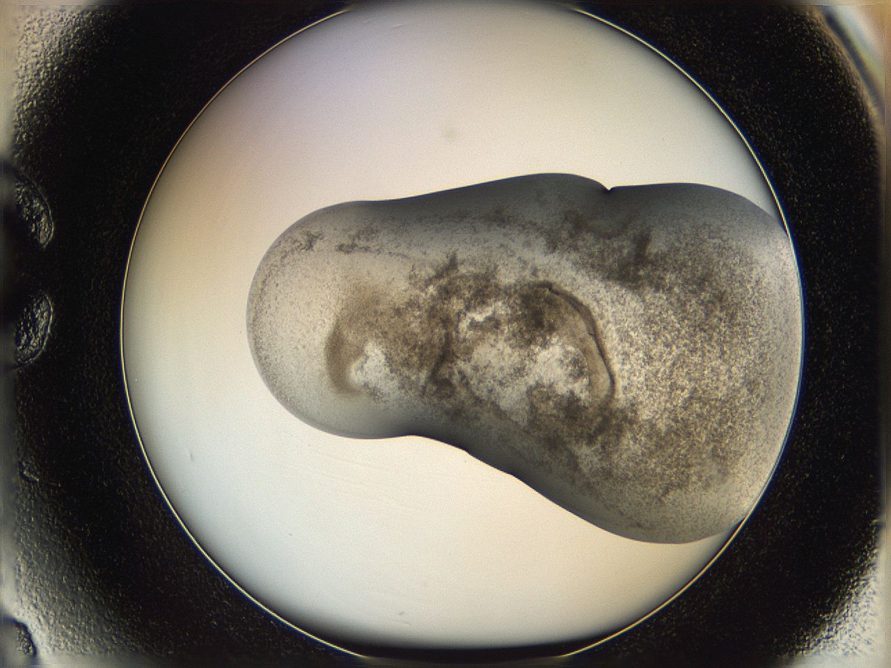 06i2_C3_ImagerDefaults_3.jpg