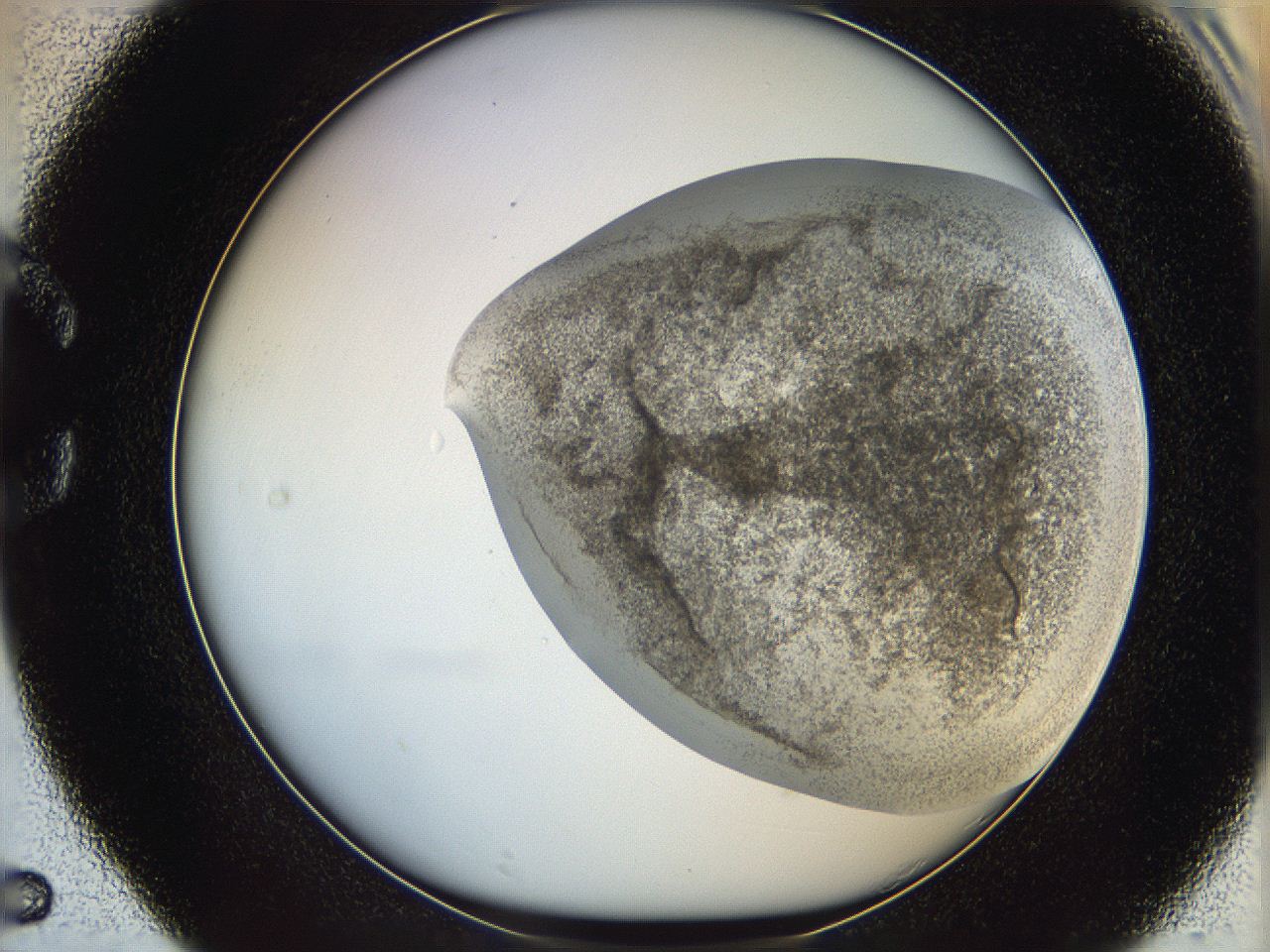 06i2_C5_ImagerDefaults_3.jpg