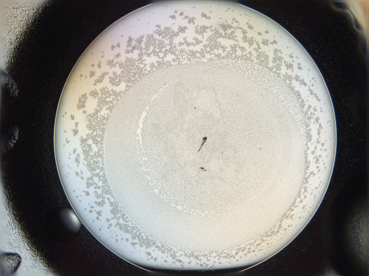 06i2_C7_ImagerDefaults_5.jpg