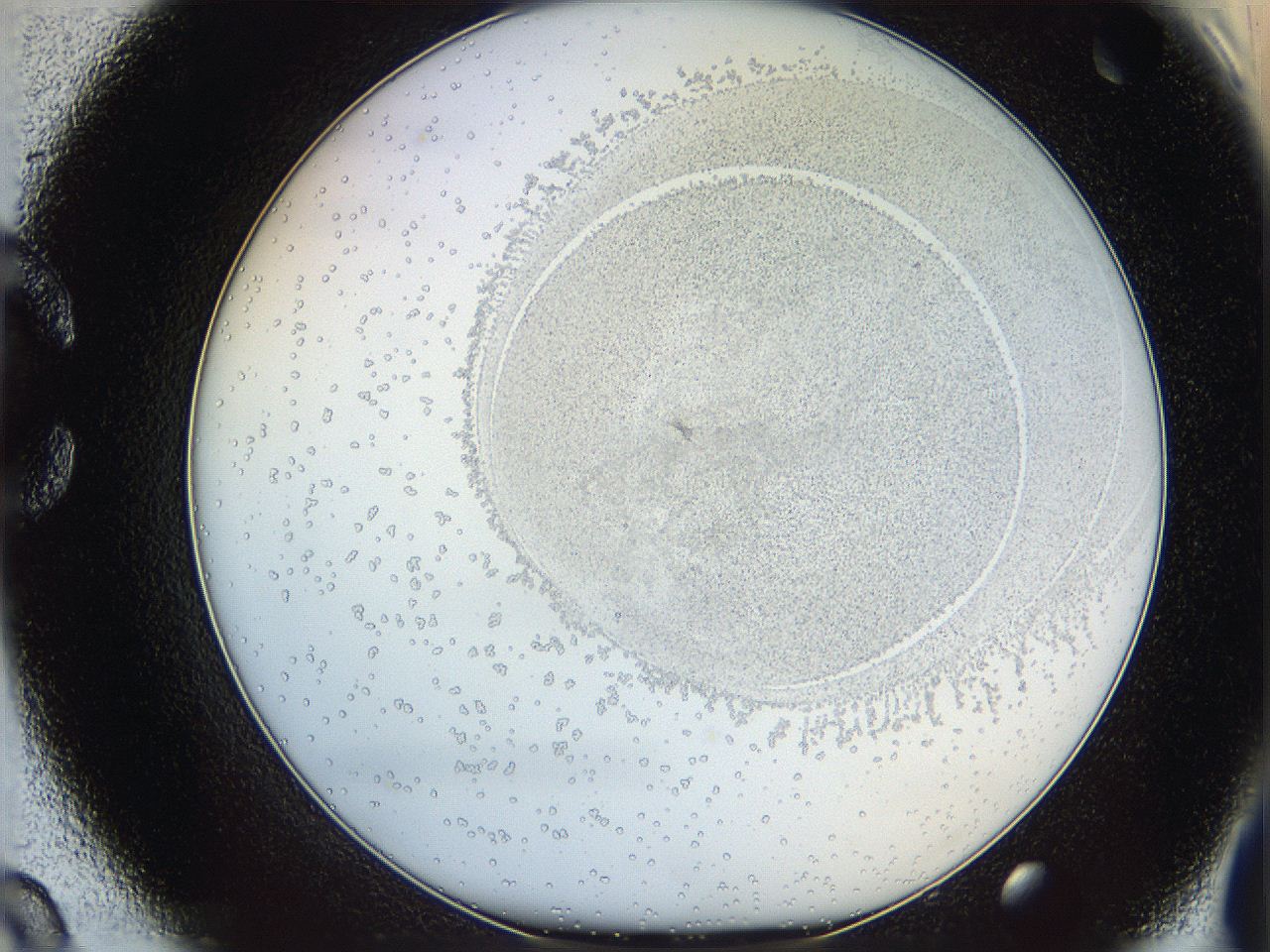 06i2_C9_ImagerDefaults_5.jpg