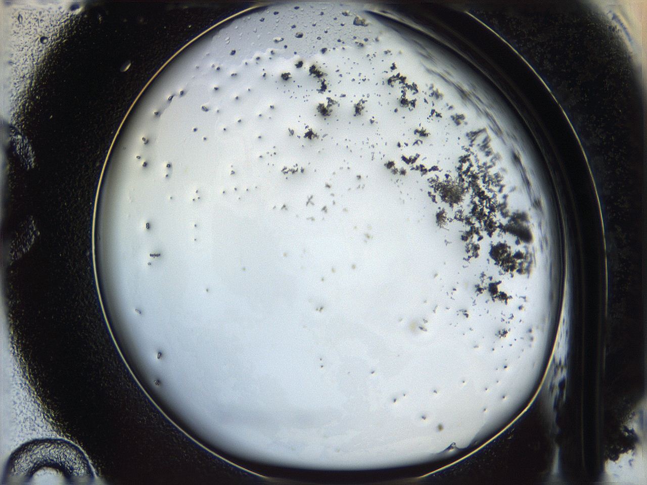 06i2_C10_ImagerDefaults_3.jpg