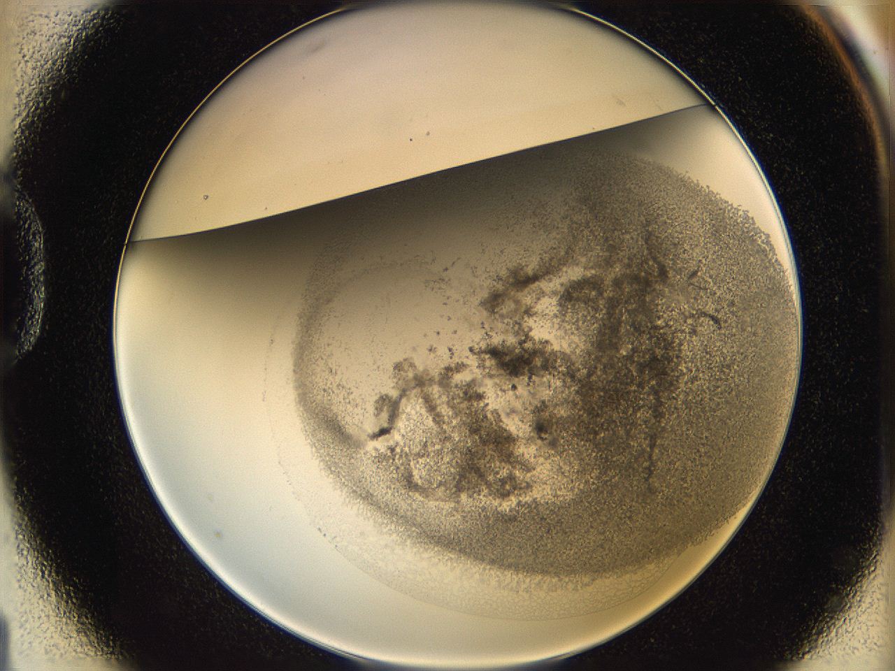 06i2_D1_ImagerDefaults_3.jpg