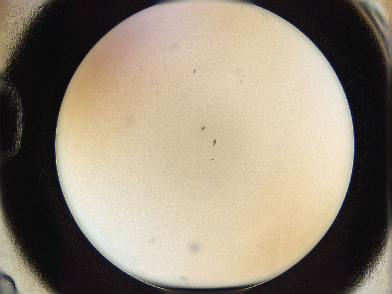 06i2_D2_ImagerDefaults_2.jpg