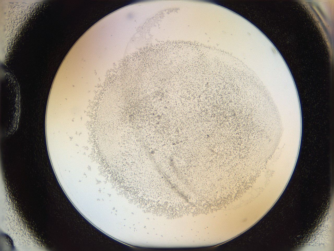 06i2_D3_ImagerDefaults_5.jpg