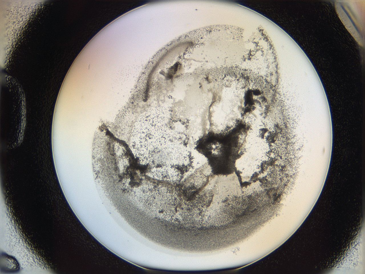 06i2_D6_ImagerDefaults_3.jpg