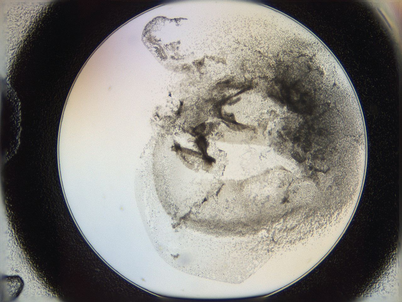 06i2_D7_ImagerDefaults_3.jpg