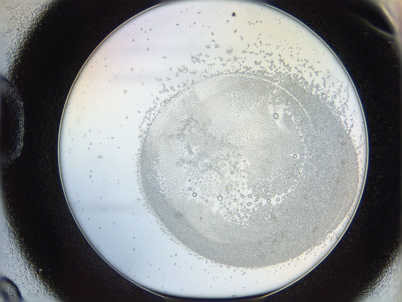 06i2_D9_ImagerDefaults_5.jpg