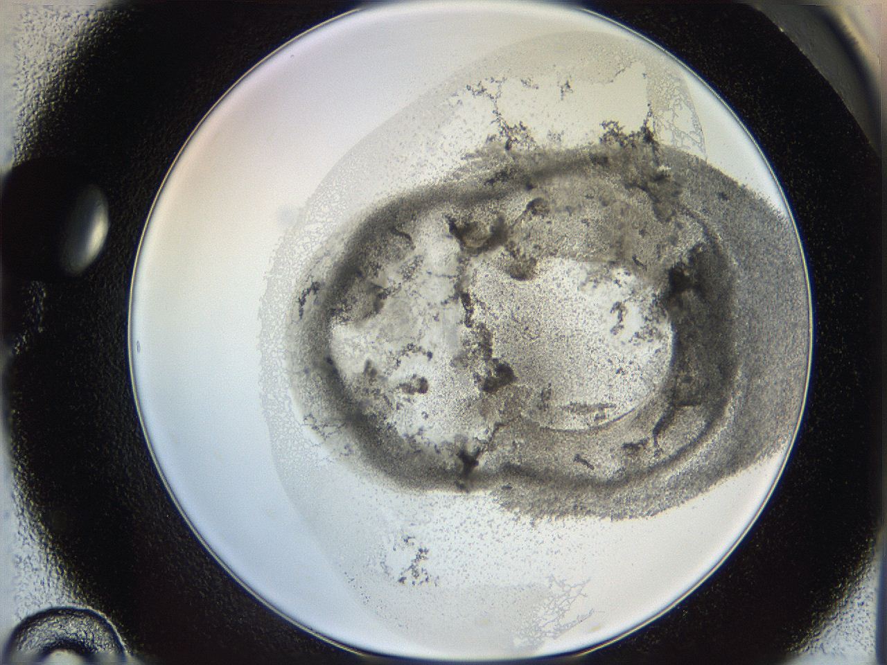 06i2_D10_ImagerDefaults_3.jpg