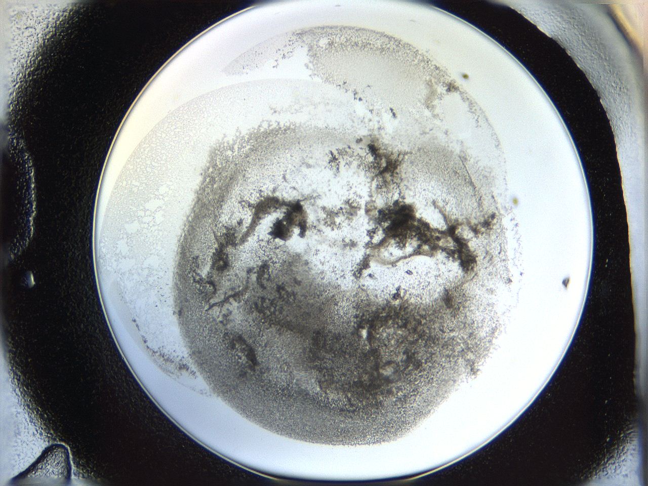 06i2_D11_ImagerDefaults_3.jpg