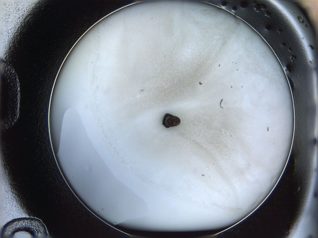 06i2_D12_ImagerDefaults_3.jpg