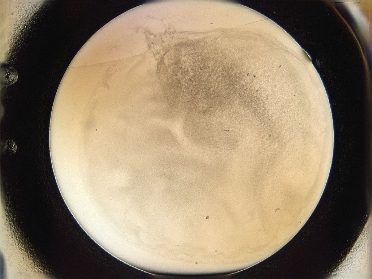 06i2_E1_ImagerDefaults_3.jpg