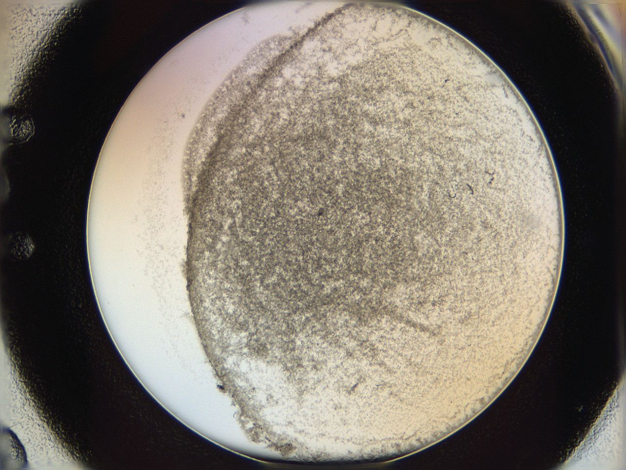 06i2_E2_ImagerDefaults_3.jpg