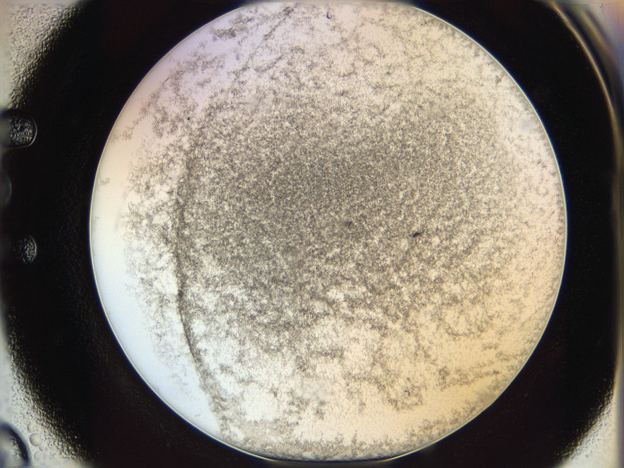 06i2_E3_ImagerDefaults_3.jpg