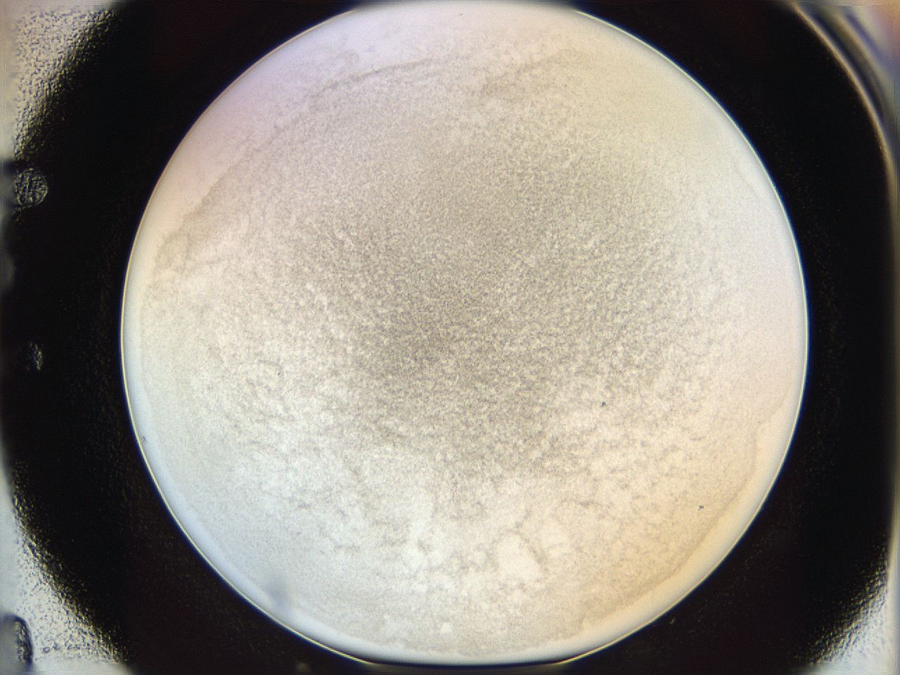 06i2_E4_ImagerDefaults_3.jpg