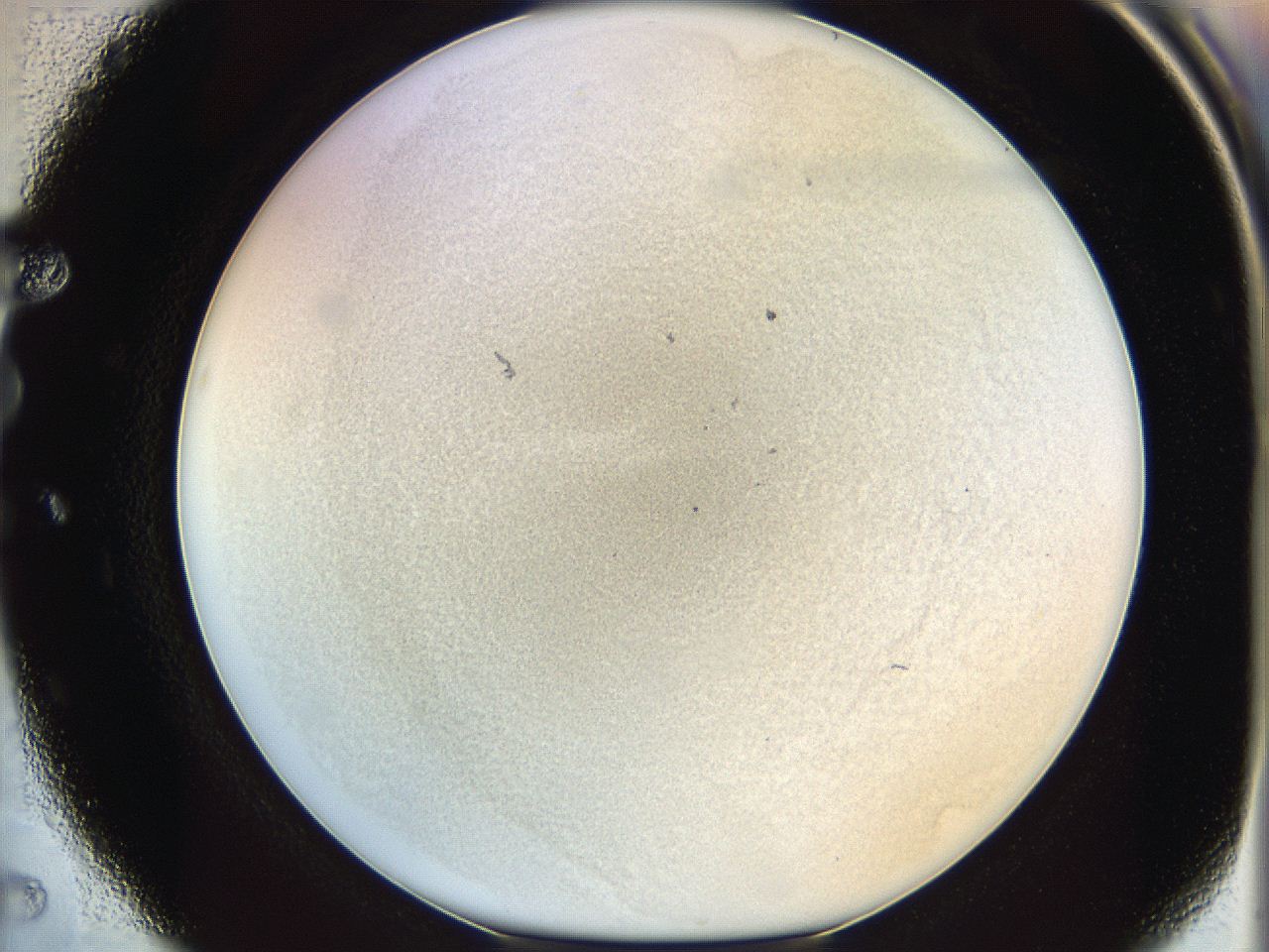 06i2_E5_ImagerDefaults_3.jpg