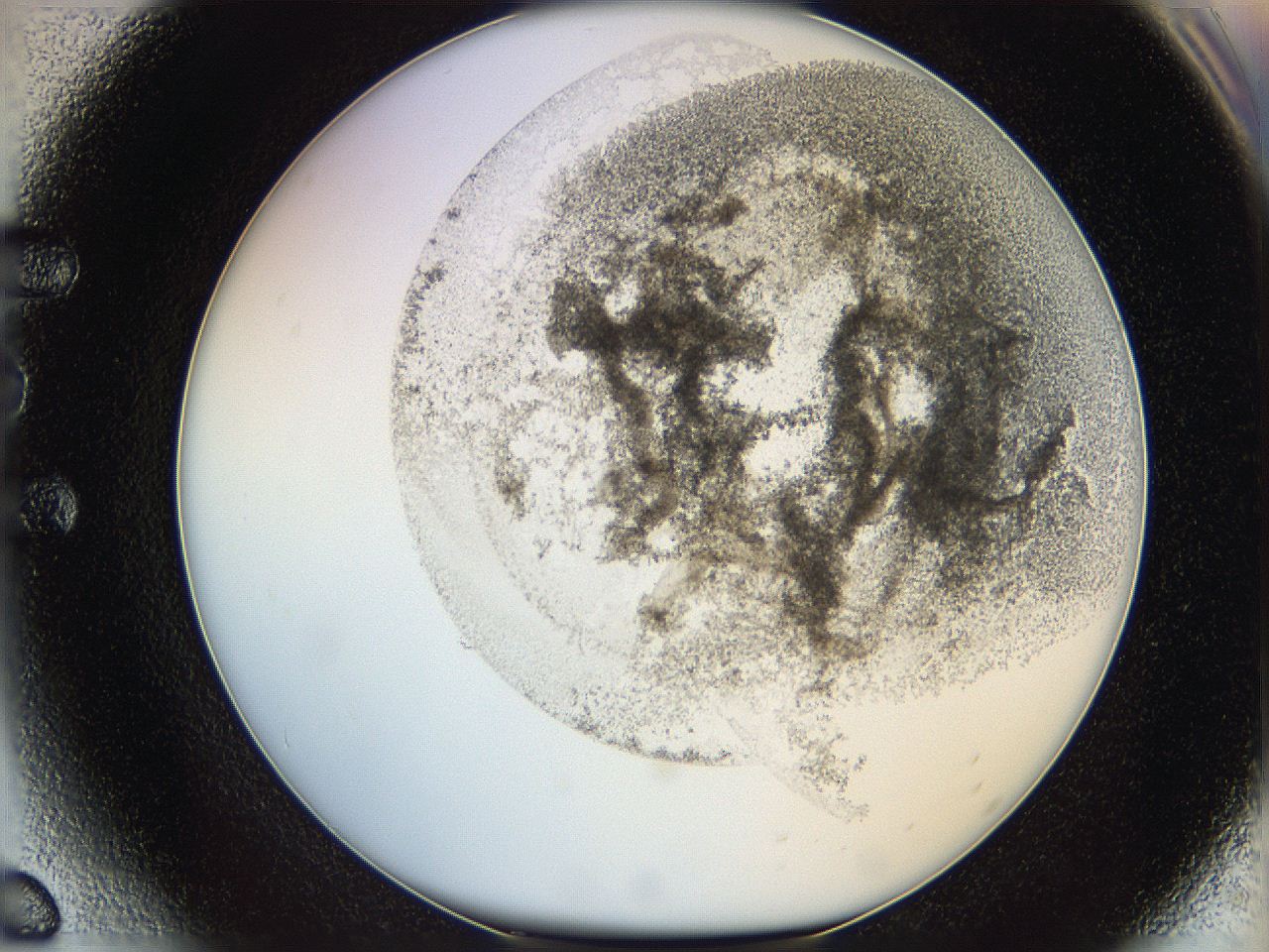 06i2_E6_ImagerDefaults_3.jpg